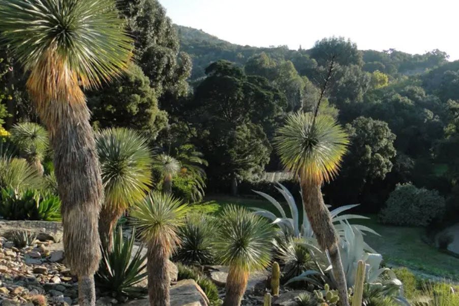 Domaine du Rayol, The Mediterranean Gardens, Rayol-Canadel-sur-Mer, France, France